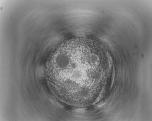 X0000088590081200706011148