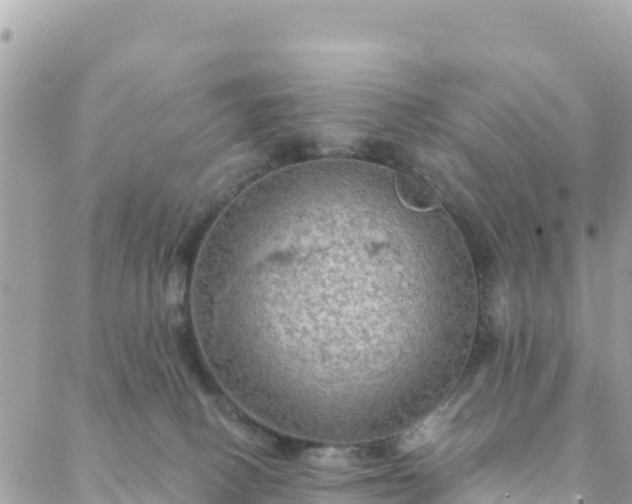 X0000088590082200706011148