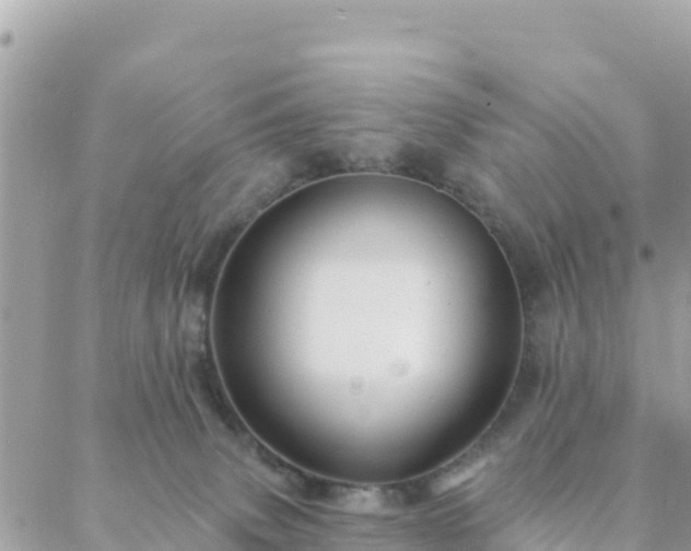 X0000088590083200706011148