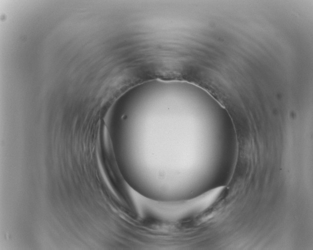 X0000088590084200706011148