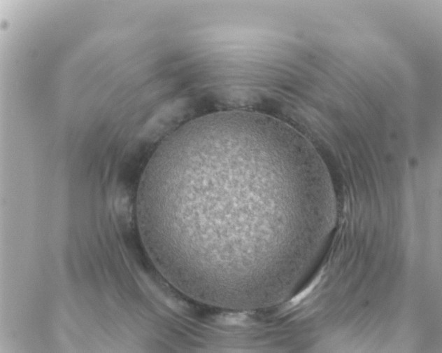 X0000088590086200706011148