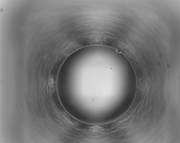 X0000088590087200706011148