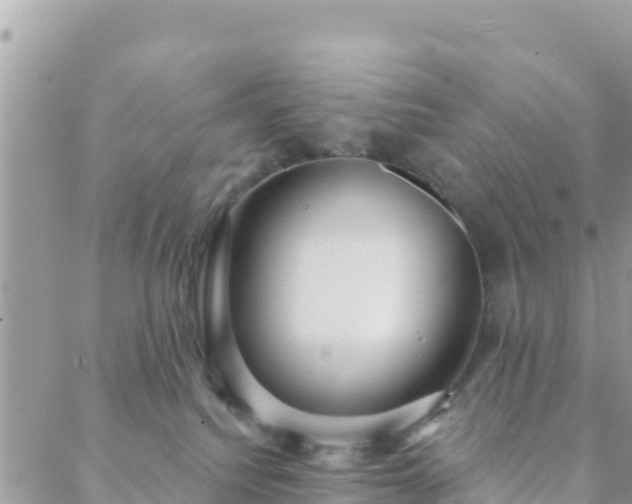 X0000088590088200706011148