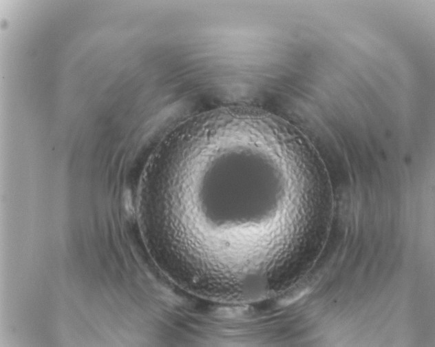 X0000088590089200706011148