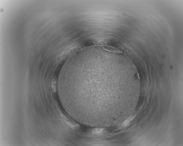 X0000088590090200706011148