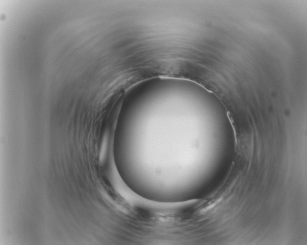 X0000088590092200706011148