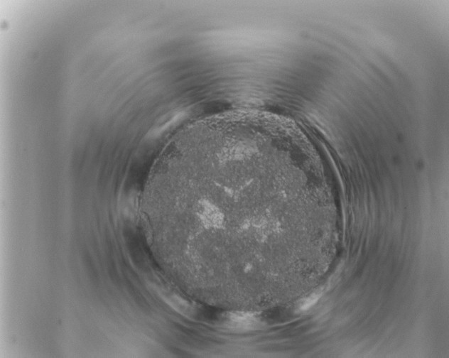 X0000088590093200706011148