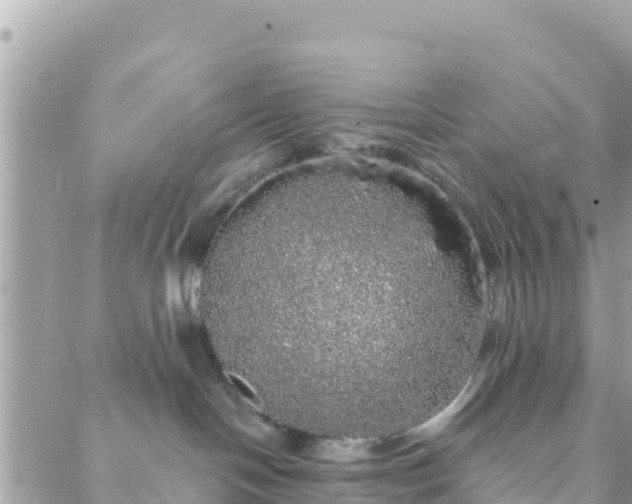 X0000088590094200706011148