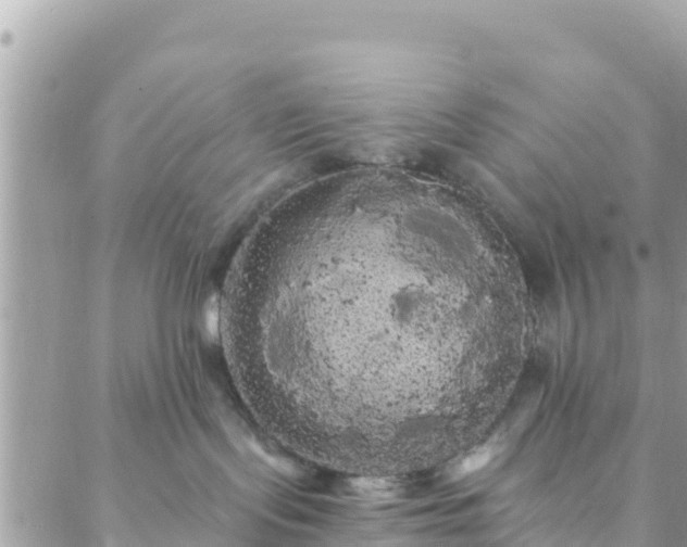 X0000088590095200706011148