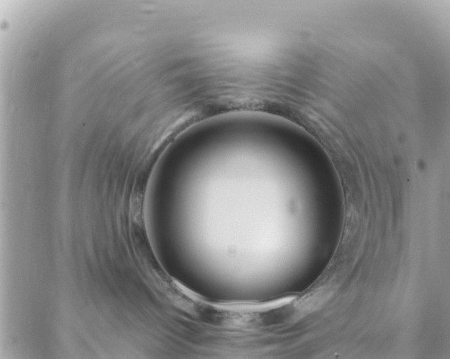 X0000088590096200706011148