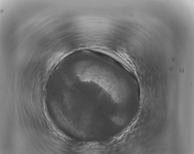 X0000088590097200706011148