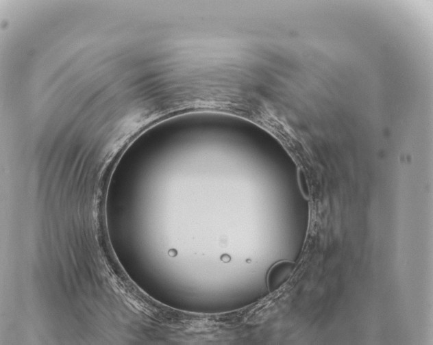 X0000088590098200706011148