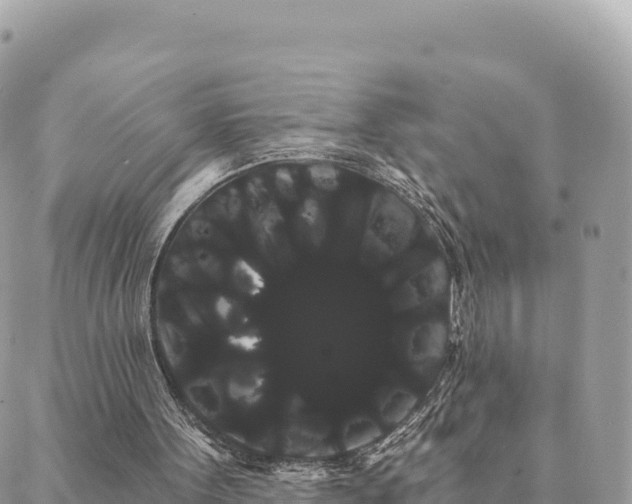 X0000088590099200706011148