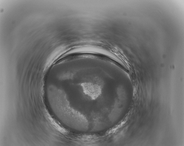 X0000088590101200706011148