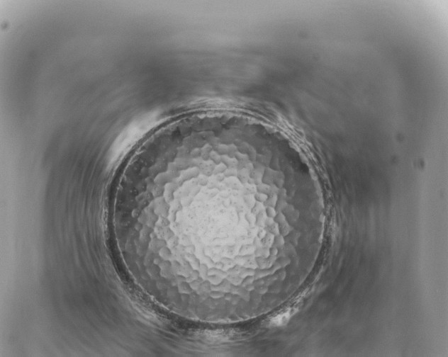 X0000088590103200706011147