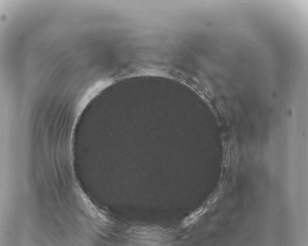 X0000088590104200706011147