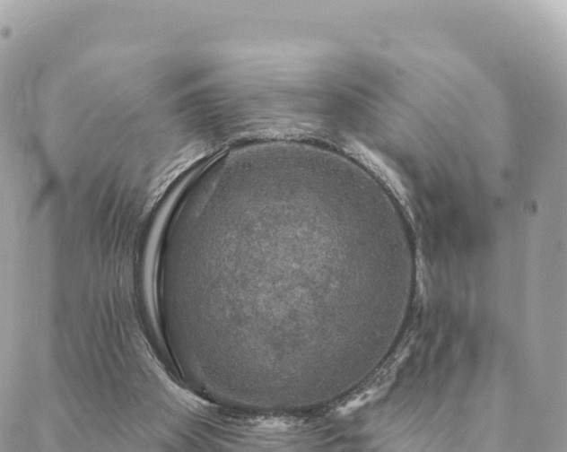 X0000088590105200706011147