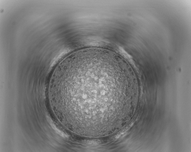 X0000088590106200706011147