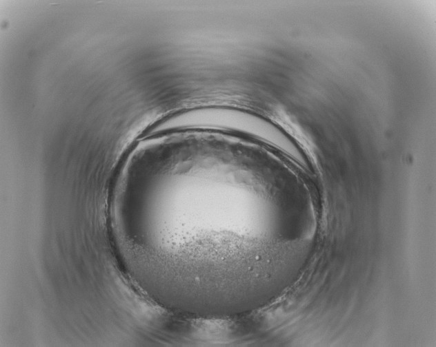 X0000088590107200706011147