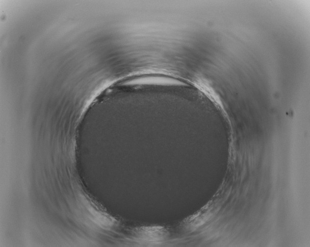 X0000088590108200706011147