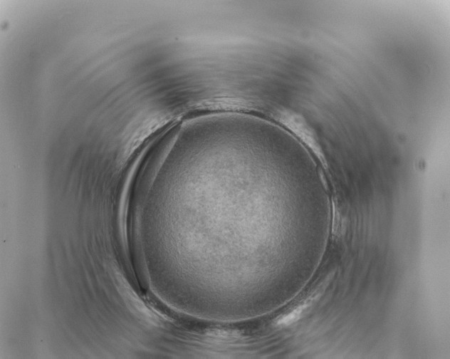 X0000088590109200706011147