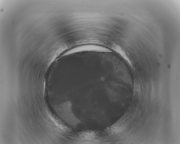 X0000088590110200706011147