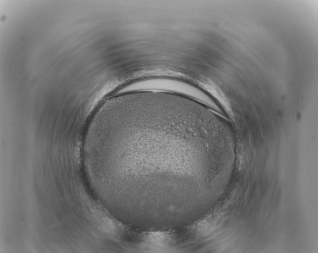 X0000088590111200706011147