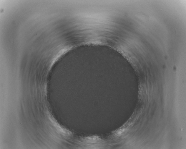 X0000088590112200706011147