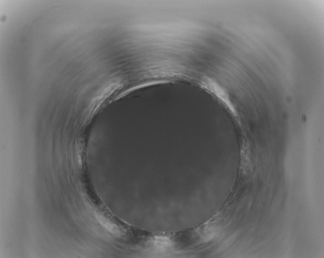 X0000088590114200706011147