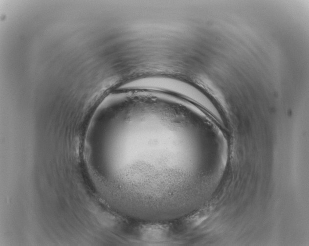 X0000088590115200706011147