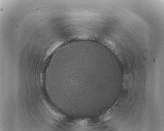 X0000088590116200706011147