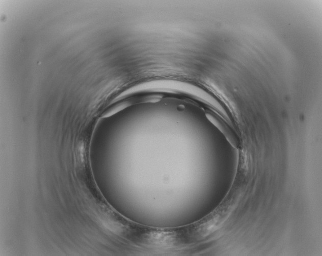 X0000088590117200706011147