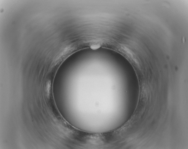 X0000088590118200706011147