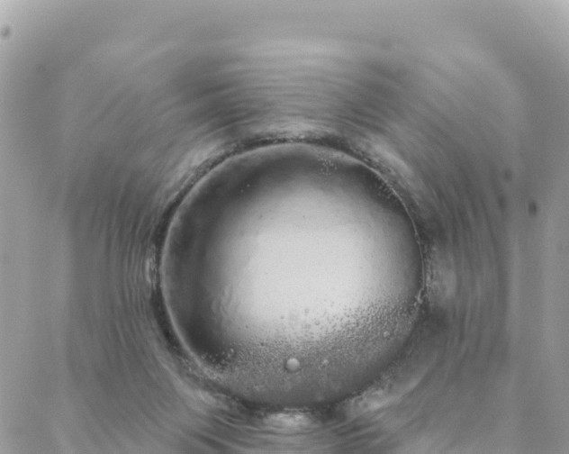 X0000088590119200706011147