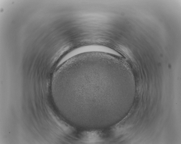 X0000088590120200706011147