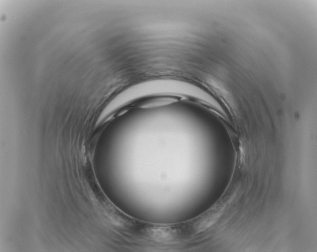 X0000088590121200706011147