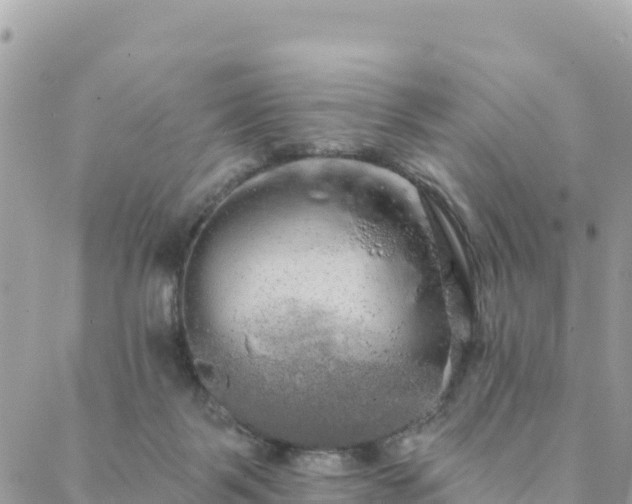 X0000088590123200706011147