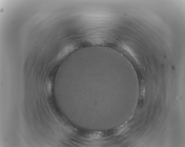 X0000088590124200706011147