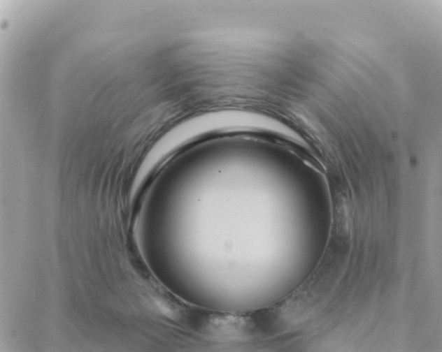 X0000088590125200706011147