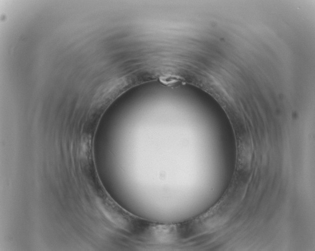 X0000088590126200706011147