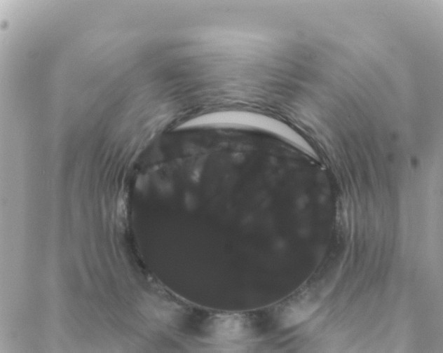 X0000088590127200706011147