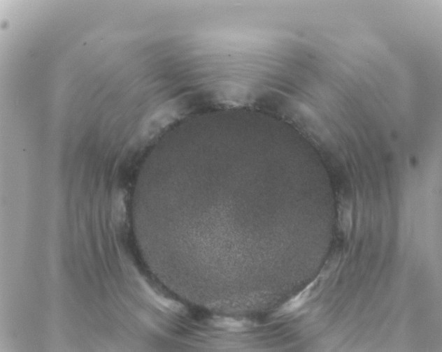 X0000088590128200706011147