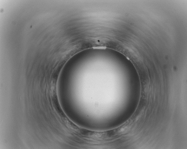 X0000088590129200706011147