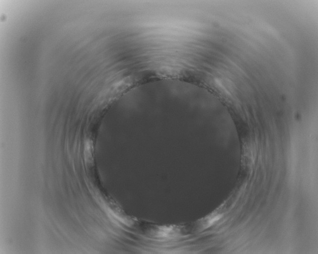 X0000088590130200706011147