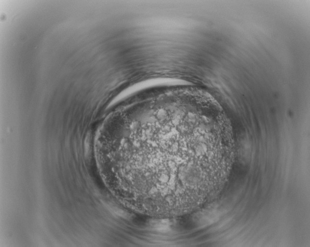 X0000088590131200706011147