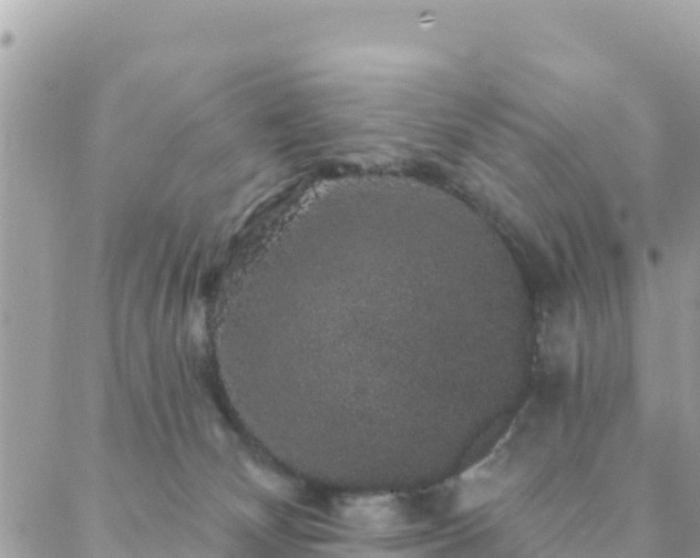 X0000088590132200706011147