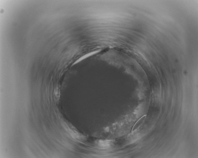 X0000088590134200706011147