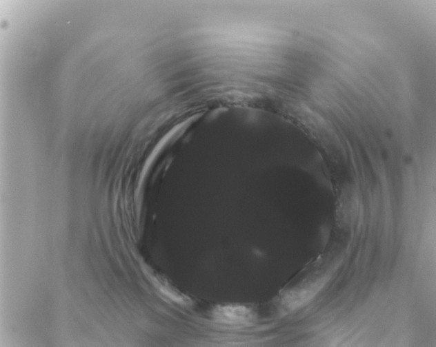 X0000088590137200706011147