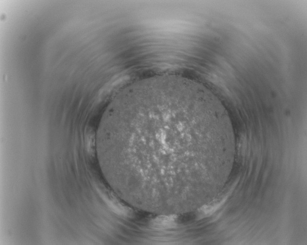 X0000088590138200706011147