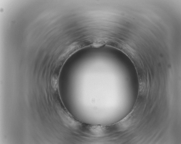 X0000088590142200706011147